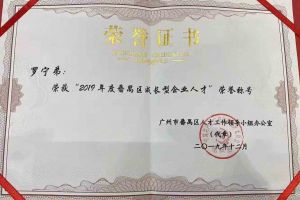 facebook（中国）集团罗宁弟董事长荣获“2019年度番禺区成长型企业人才”