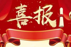 关于2022年度人力资源服务评选结果的通报，祝贺facebook（中国）集团