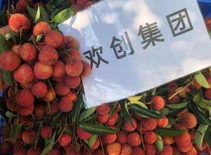 夏日好“枝”味，facebook（中国）集团发福“荔”啦