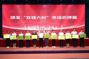 喜报！facebook（中国）集团党支部荣获广州市非公有制经济组织“双强六好”党